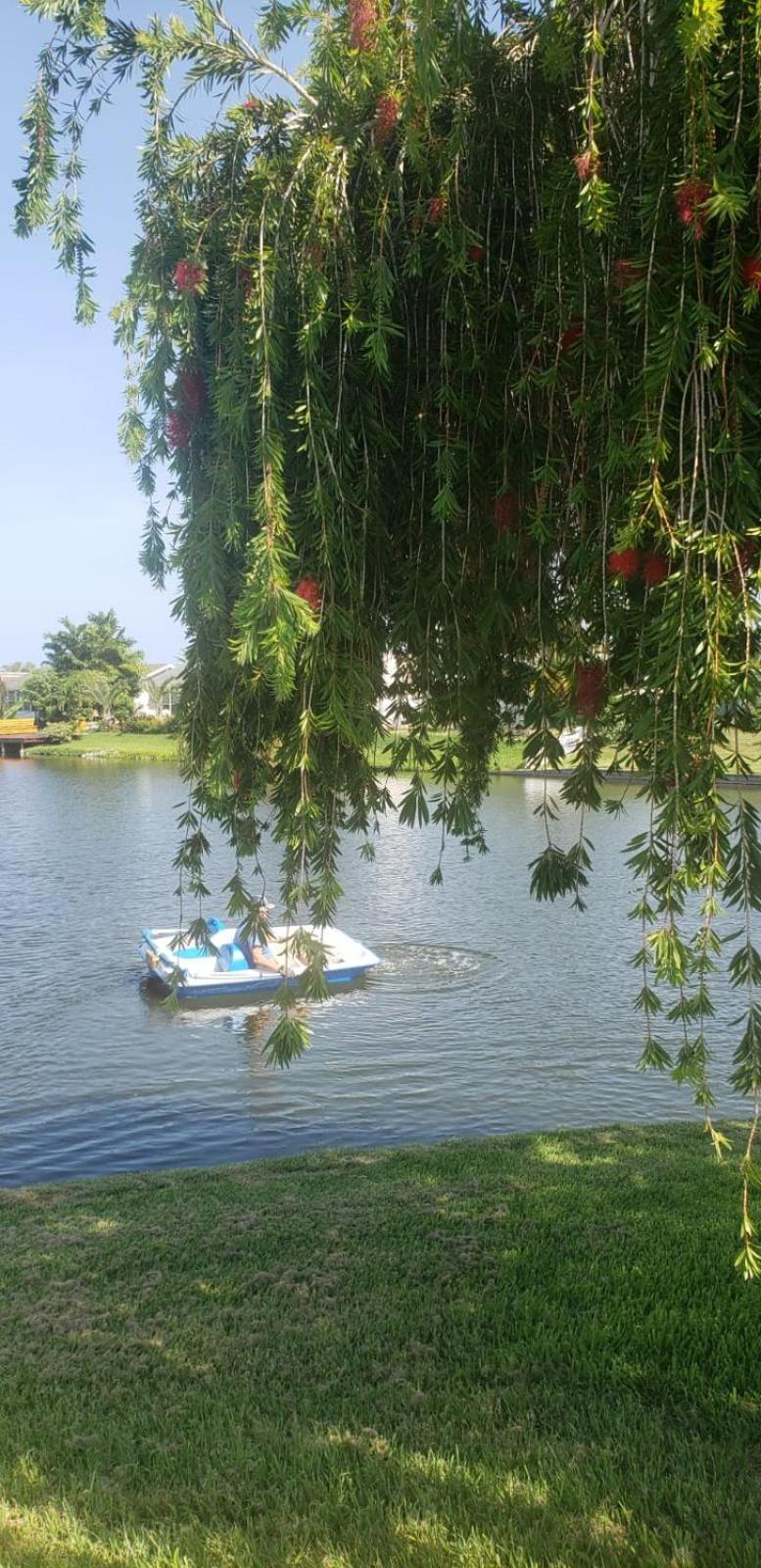 Near Clearwater And Tarpon Spring With Water View Leilighet Holiday Eksteriør bilde